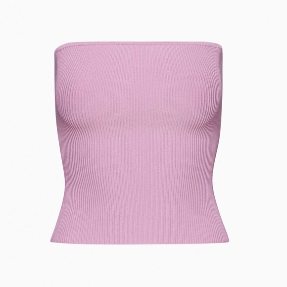 Babaton Tops - Aritzia Babaton Lavender Sculpt Knit Tube Top